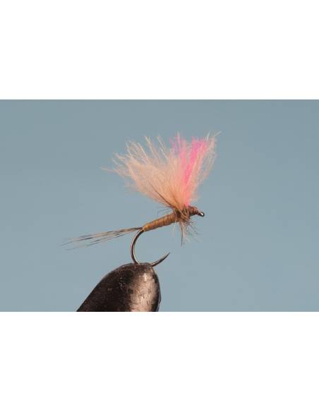 Comprar H7 en nuestra Tienda Online de Pesca a Mosca | Mosca y Linea