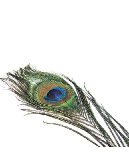 Comprar Ojos Pavo Real en nuestra Tienda Online de Pesca a Mosca | Mosca y Linea