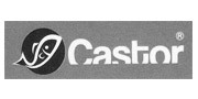 CASTOR